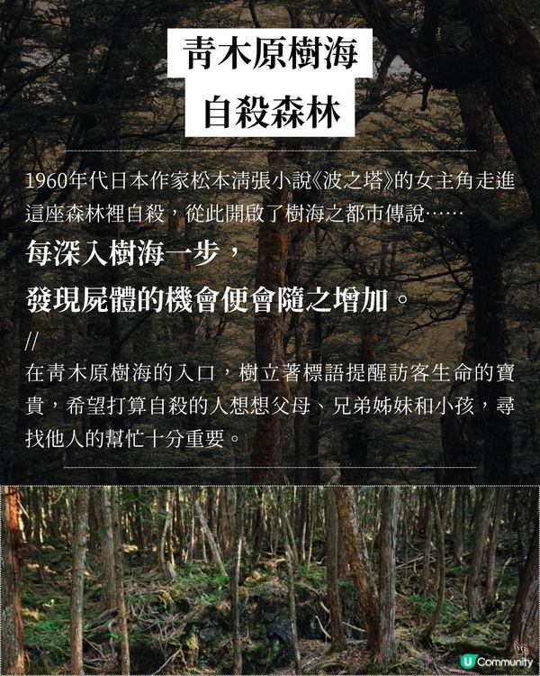 真實記事錄😱！樹海都市傳說，你敢睇？🤔 #懸疑