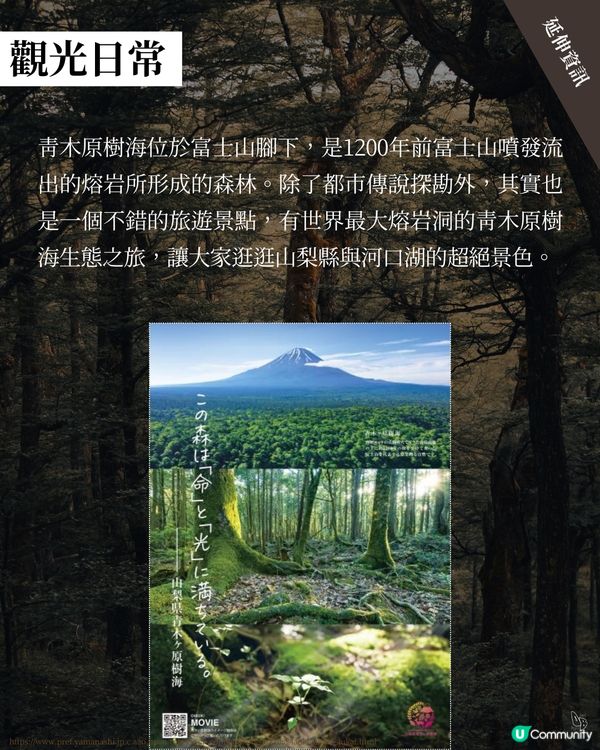真實記事錄😱！樹海都市傳說，你敢睇？🤔 #懸疑