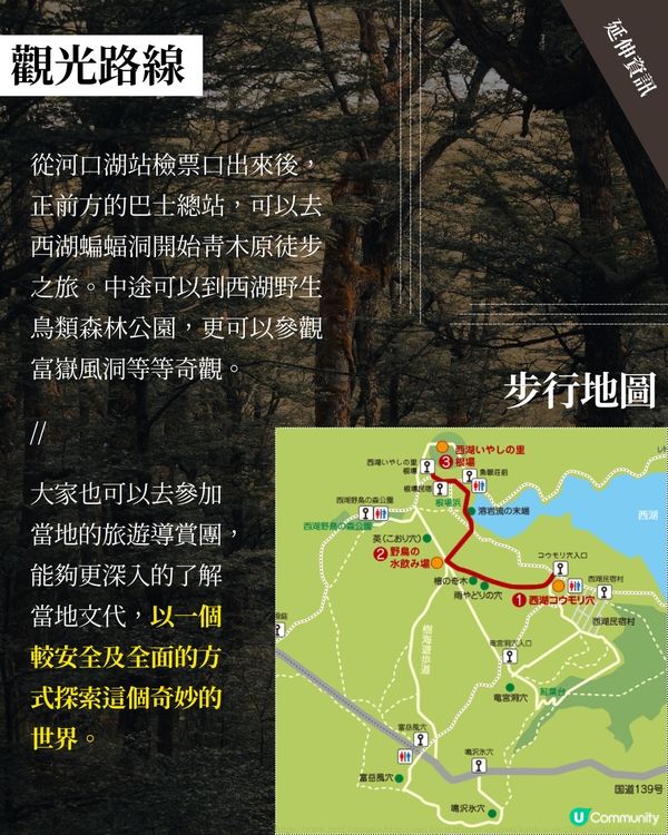 真實記事錄😱！樹海都市傳說，你敢睇？🤔 #懸疑