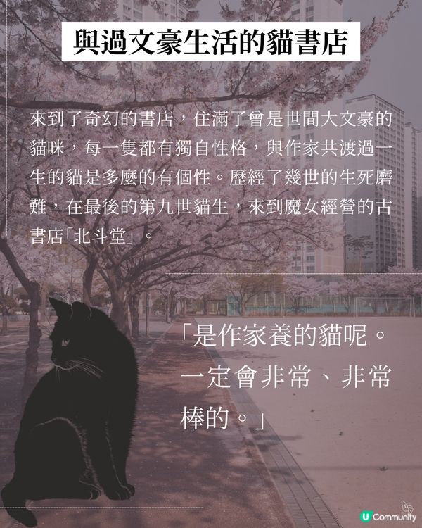 貓奴必看！催淚新書😭 文豪貓咪の故事📚