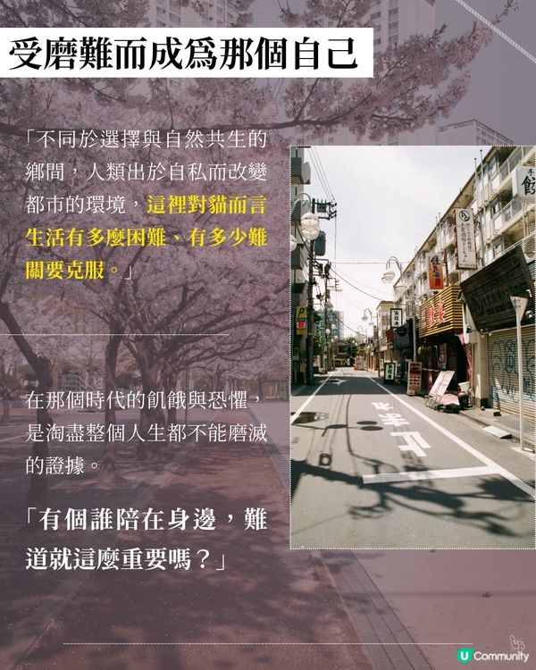 貓奴必看！催淚新書😭 文豪貓咪の故事📚