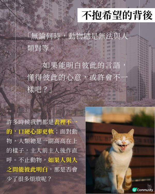 貓奴必看！催淚新書😭 文豪貓咪の故事📚