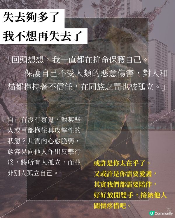 貓奴必看！催淚新書😭 文豪貓咪の故事📚