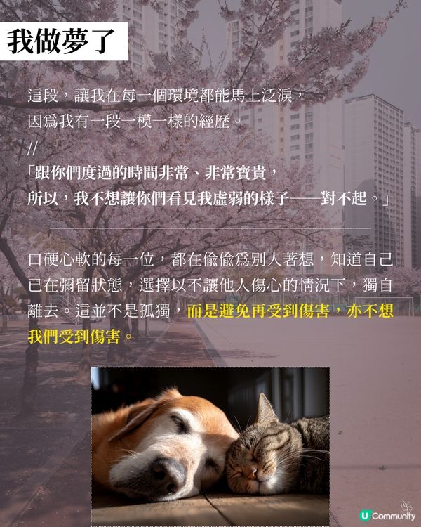 貓奴必看！催淚新書😭 文豪貓咪の故事📚