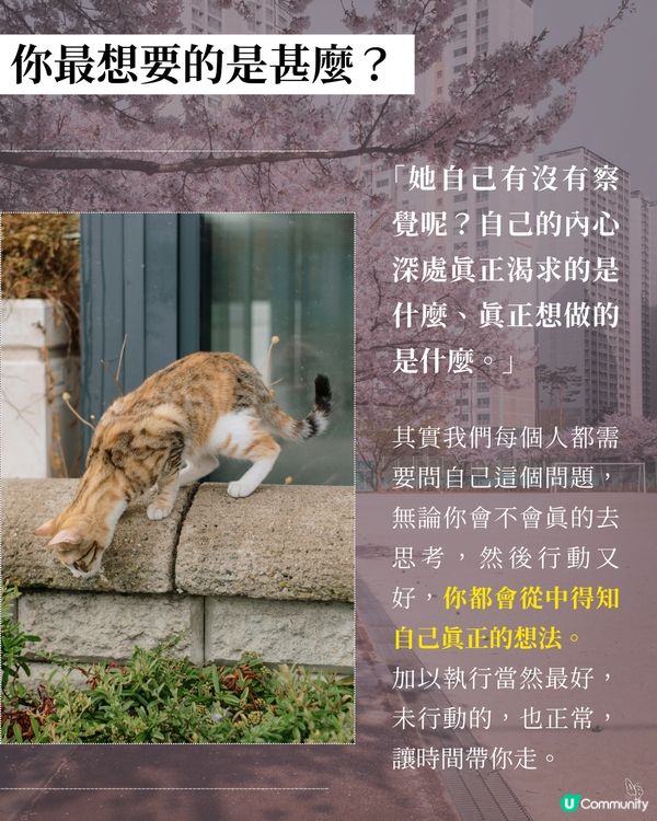 貓奴必看！催淚新書😭 文豪貓咪の故事📚