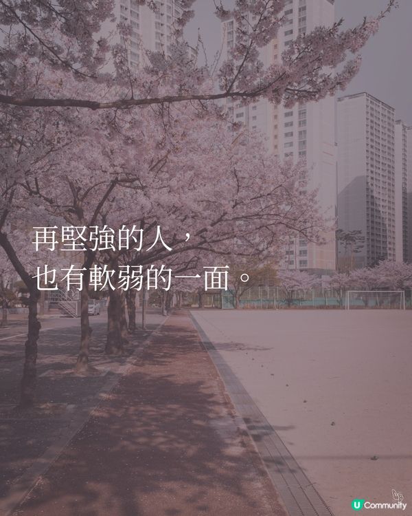貓奴必看！催淚新書😭 文豪貓咪の故事📚