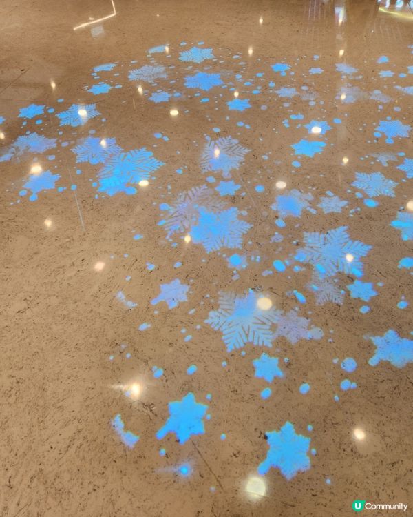 海之戀熊熊聖誕打卡攻略！📸🎄 巨熊等你嚟影相！🐻