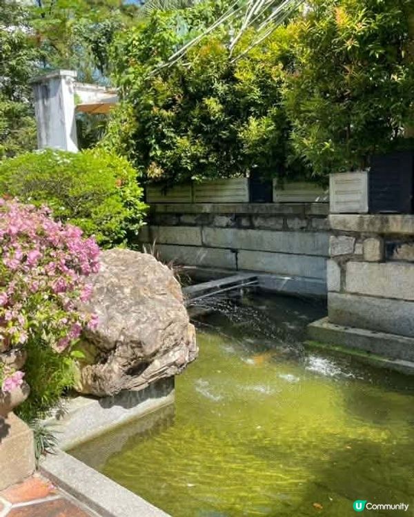 檳城藍屋打卡📸