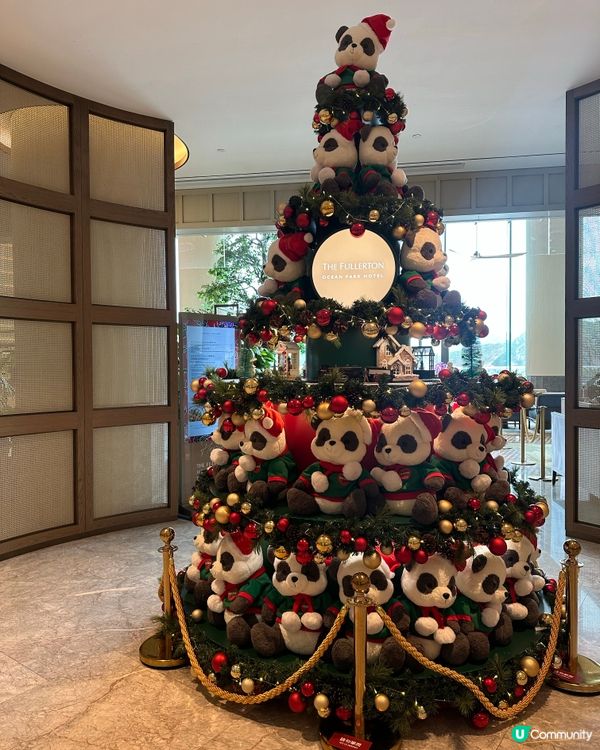 自助餐快閃買一送一，聖誕佈置打卡🎄，食物款式吸睛，超抵！👍