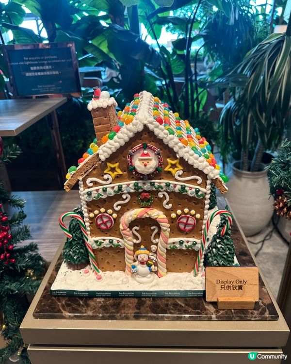 自助餐快閃買一送一，聖誕佈置打卡🎄，食物款式吸睛，超抵！👍