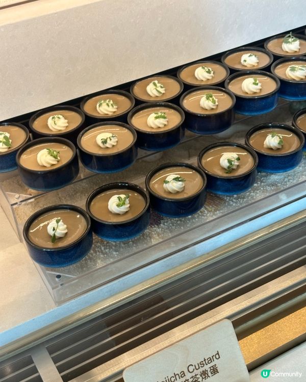 自助餐快閃買一送一，聖誕佈置打卡🎄，食物款式吸睛，超抵！👍