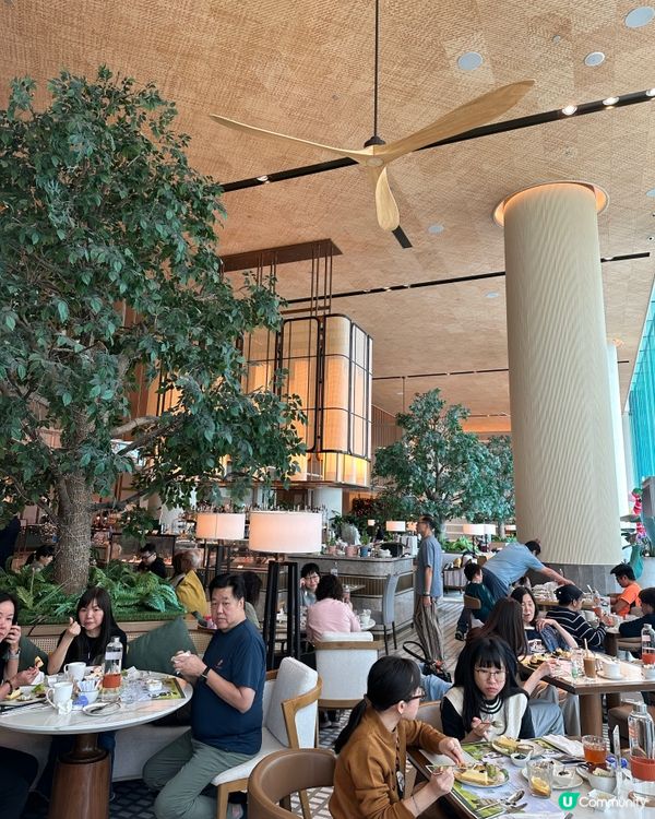 自助餐快閃買一送一，聖誕佈置打卡🎄，食物款式吸睛，超抵！👍