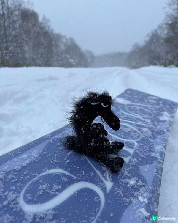 25-26留壽都開板🏂！30小時pass抵爆玩！🔥