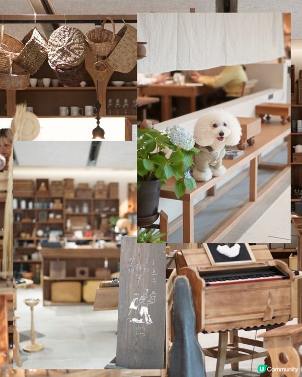 啟德寵物友善Cafe😍 日系古道具懷舊風