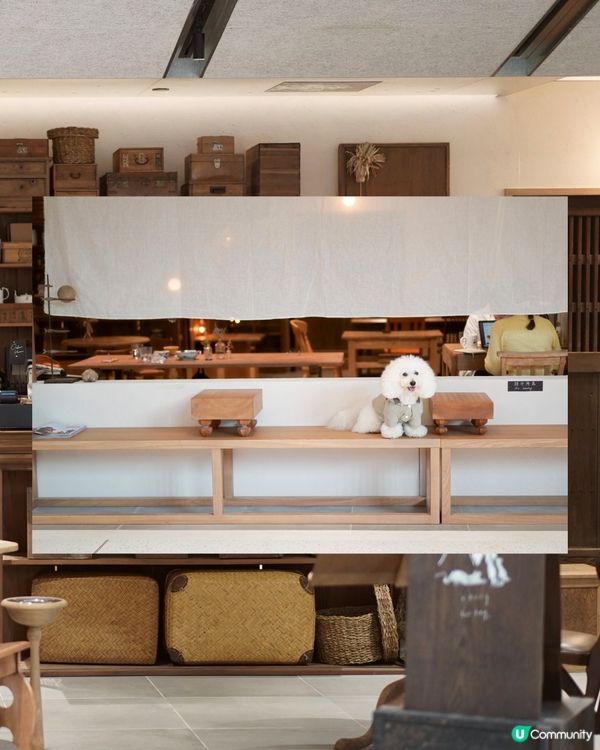 啟德寵物友善Cafe😍 日系古道具懷舊風
