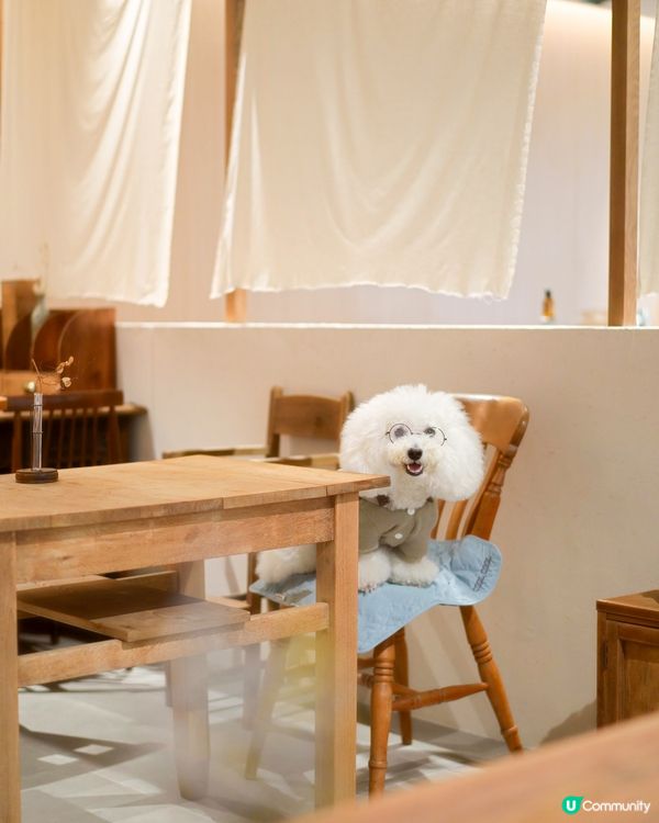 啟德寵物友善Cafe😍 日系古道具懷舊風