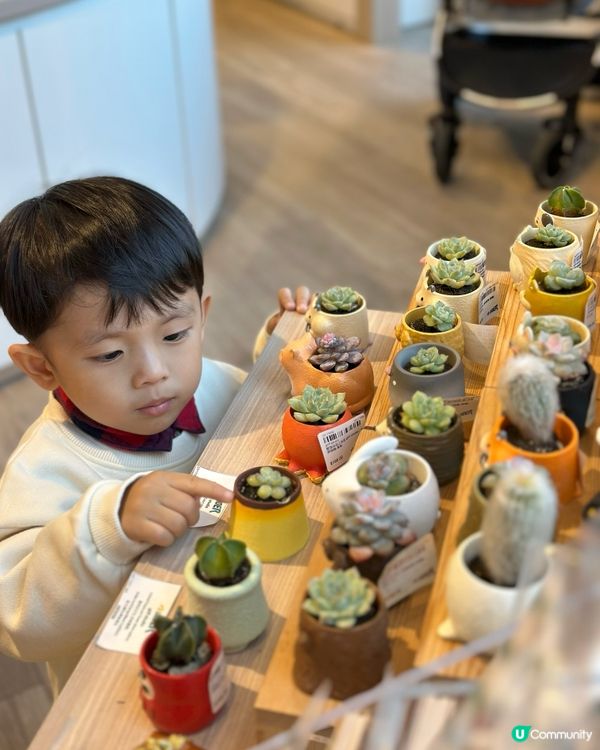 圍方聖誕聯乘！肥仔陪你過冬 🥳🎄