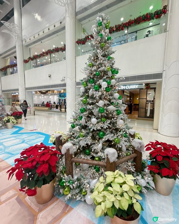 大埔超級城聖誕裝飾🎄！打卡影相📸