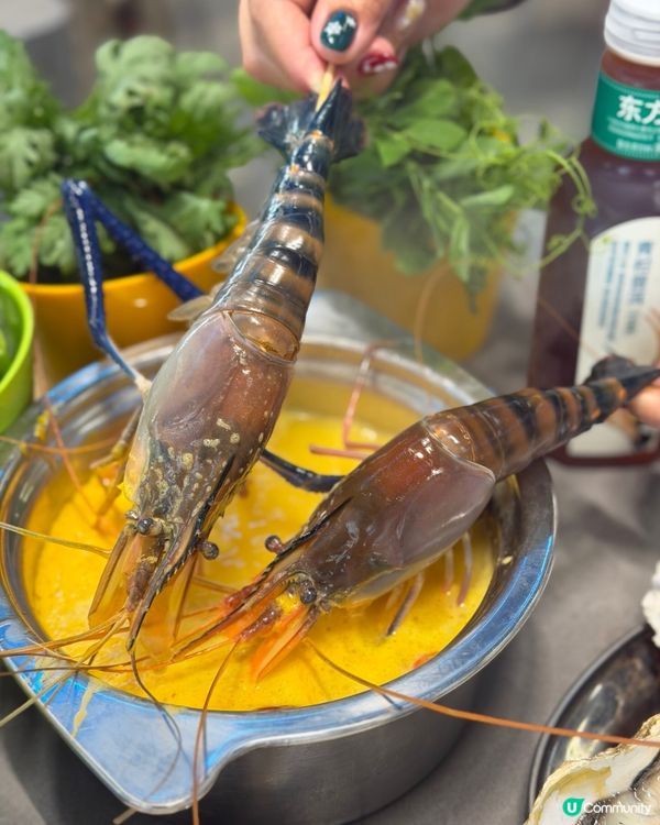 人氣活海鮮火鍋天花板🤤🦀🦐