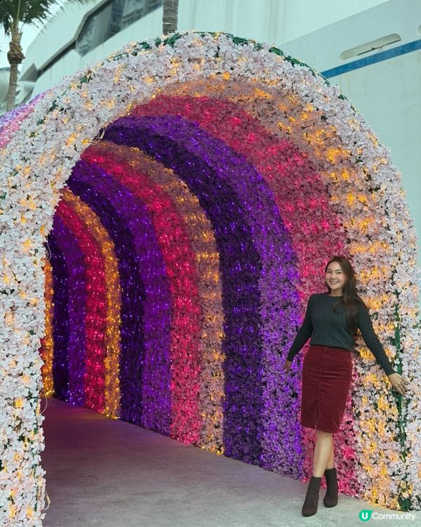 黃埔天地聖誕遊！閃亮燈飾正！🎄✨