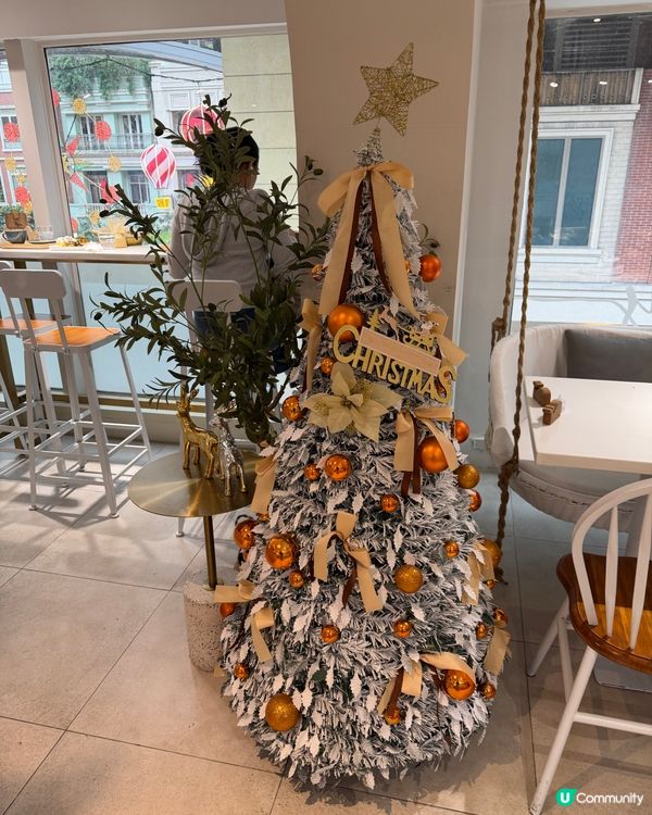 利東街旁嘅隱世文青咖啡☕，打卡一流！