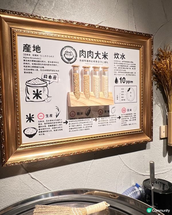 😍肉肉大米進駐屯門