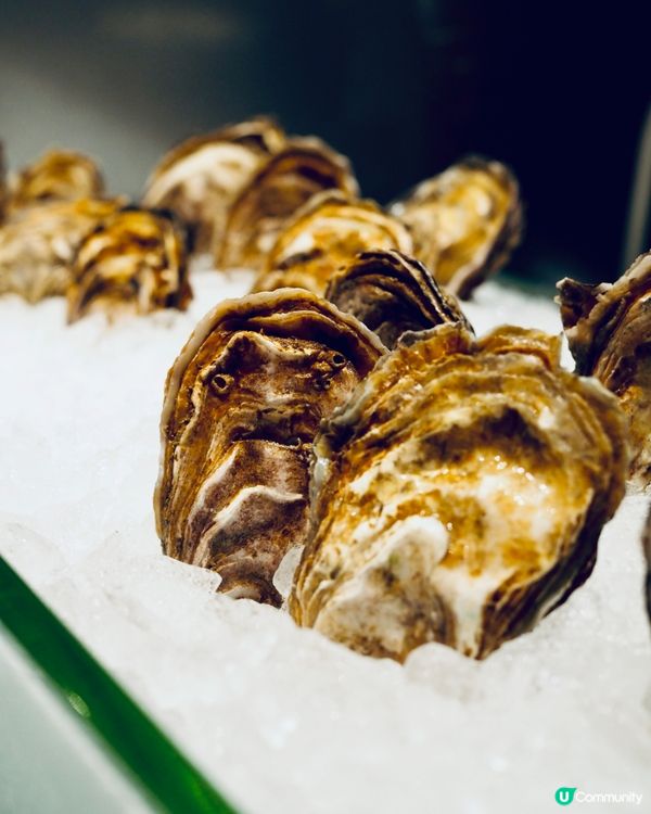 帝逸酒店𓎏ෆ.ᐟ｢迷人紅心聖誕❤️｣主題自助餐