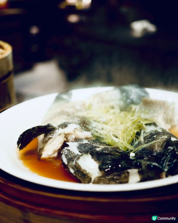 帝逸酒店𓎏ෆ.ᐟ｢迷人紅心聖誕❤️｣主題自助餐