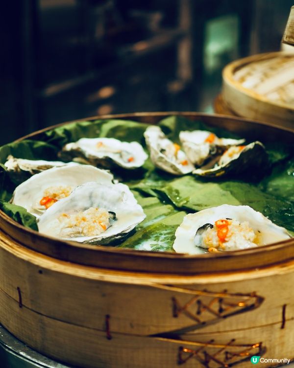 帝逸酒店𓎏ෆ.ᐟ｢迷人紅心聖誕❤️｣主題自助餐