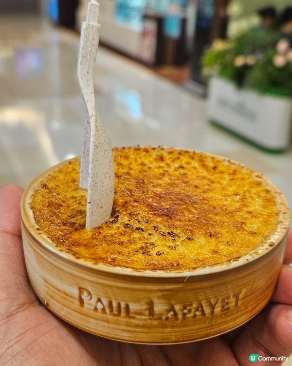 我想食LIFETASTIC聖誕蛋糕🎄