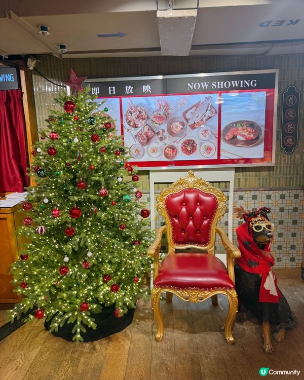 聖誕市集主題自助餐！✨🎄🍾