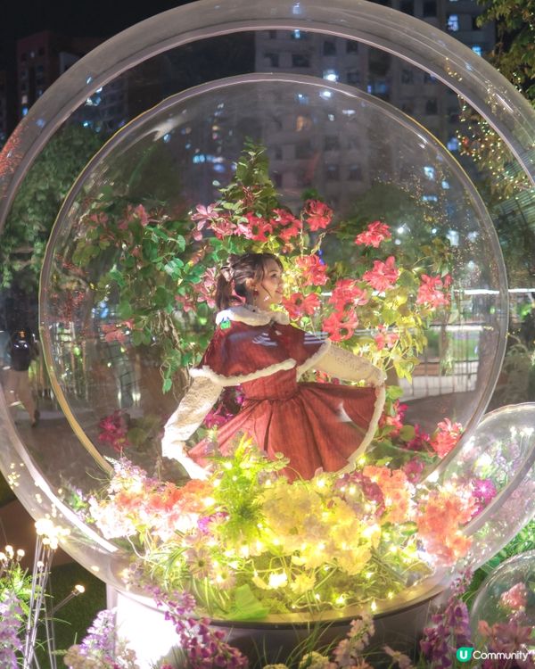 新城市廣場聖誕必去！✨ 水幕匯演超靚！🤩