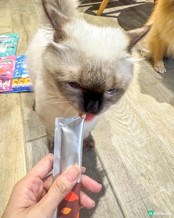 LikePets 萊寵牠 的新品