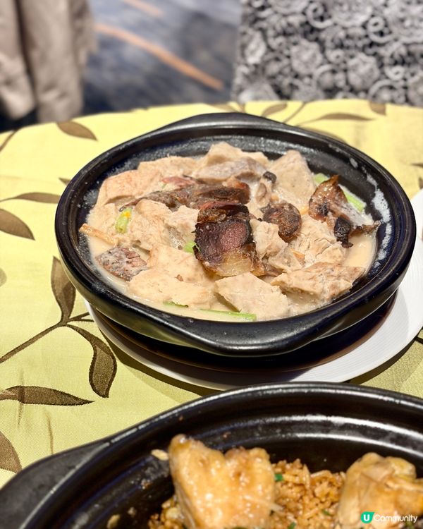 《銅鑼灣高質粵菜 必試招牌白胡椒蟹炆飯🔥》