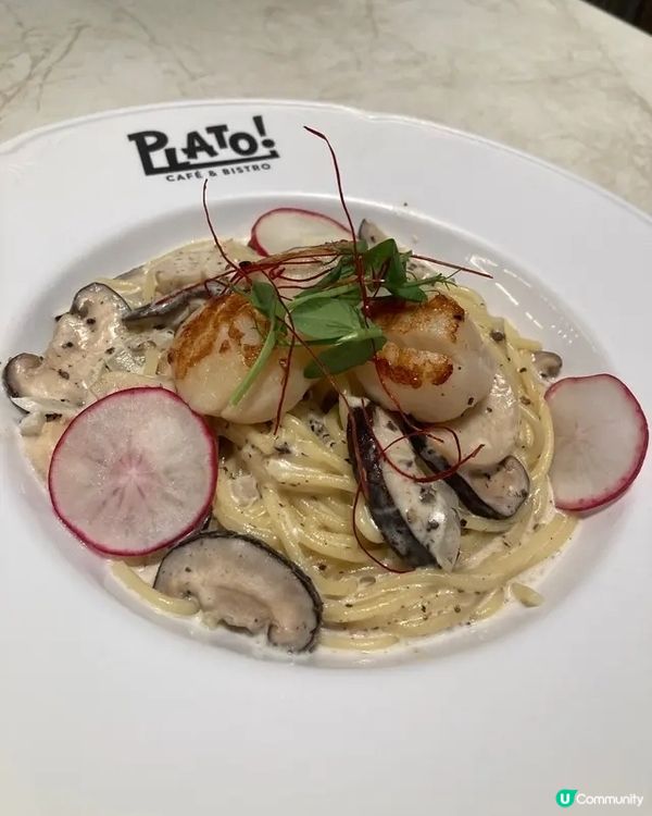 💛聚會打卡必試！Plato Cafe & Bistro 