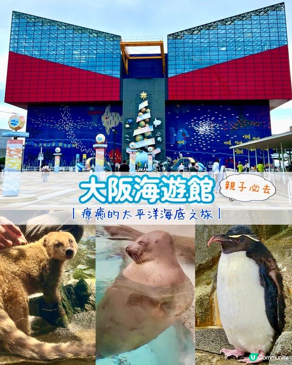 『日本』大阪海遊館🌊｜療癒的太平洋海底之旅🩵