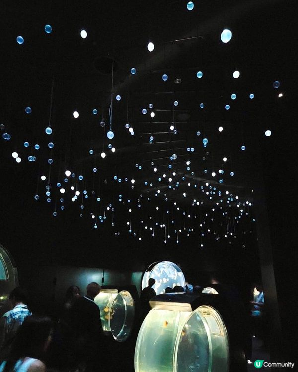 『日本』大阪海遊館🌊｜療癒的太平洋海底之旅🩵