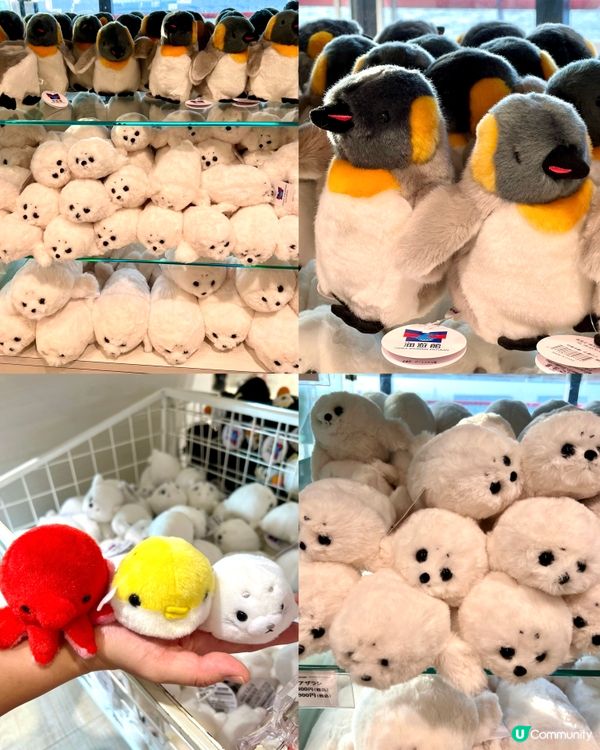 『日本』大阪海遊館🌊｜療癒的太平洋海底之旅🩵