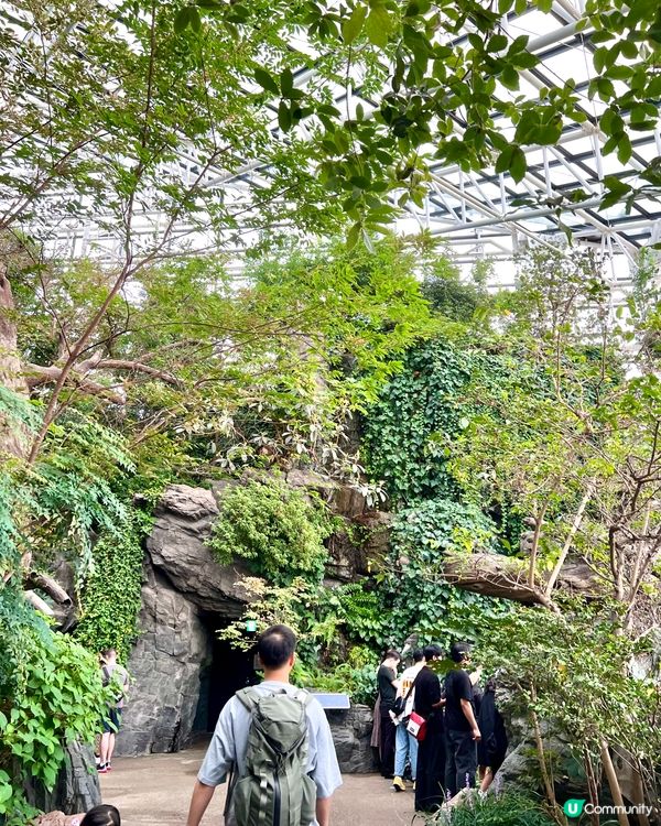 『日本』大阪海遊館🌊｜療癒的太平洋海底之旅🩵