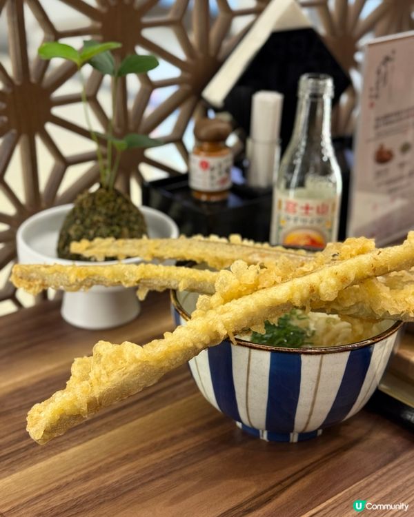 尖咀新店！博多槍烏冬🍜！抵食夾大件😋！ #槍烏冬 #