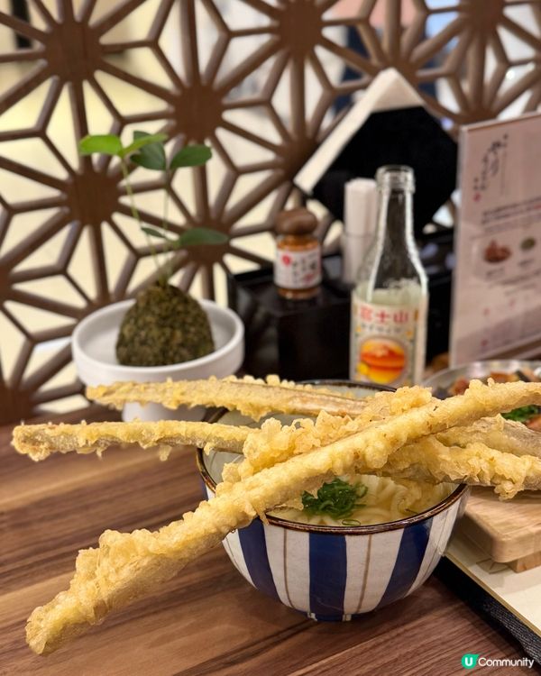 尖咀新店！博多槍烏冬🍜！抵食夾大件😋！ #槍烏冬 #