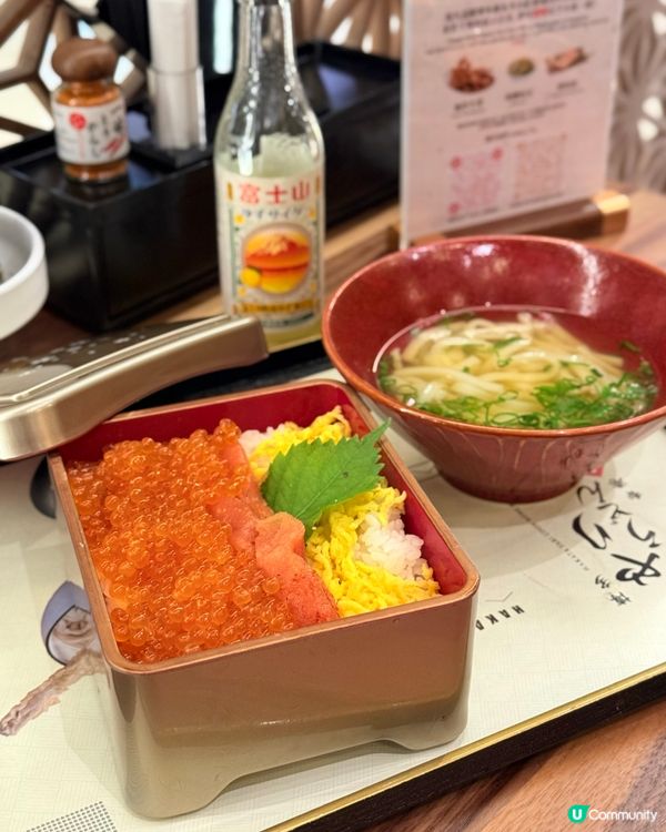 尖咀新店！博多槍烏冬🍜！抵食夾大件😋！ #槍烏冬 #