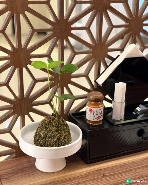 尖咀新店！博多槍烏冬🍜！抵食夾大件😋！ #槍烏冬 #