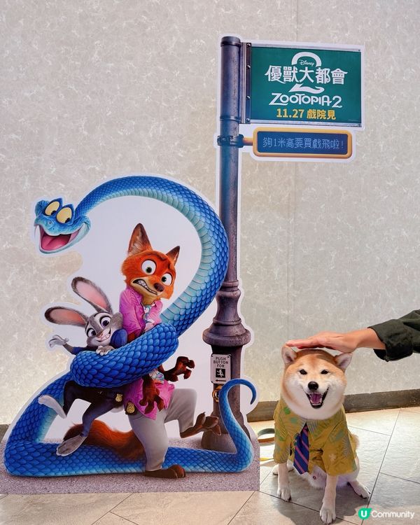 第一次帶狗狗睇戲🥰Zootopia 2🦊🐰