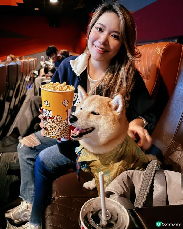 第一次帶狗狗睇戲🥰Zootopia 2🦊🐰