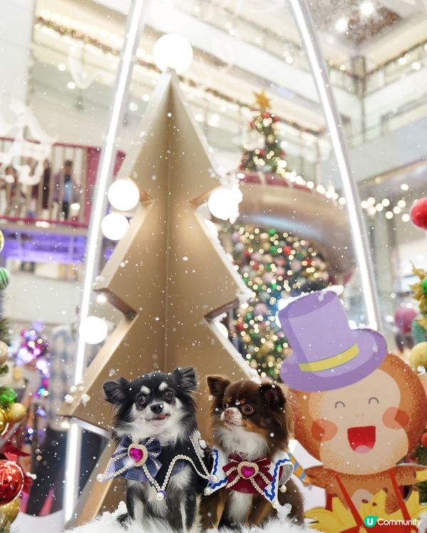 1.  聖誕去邊好？✨新城市廣場光影祭！📸