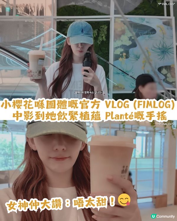 韓星都愛嘅台灣手搖飲品合集🧋員瑛/ Rosé/宮脇咲良同款奶茶