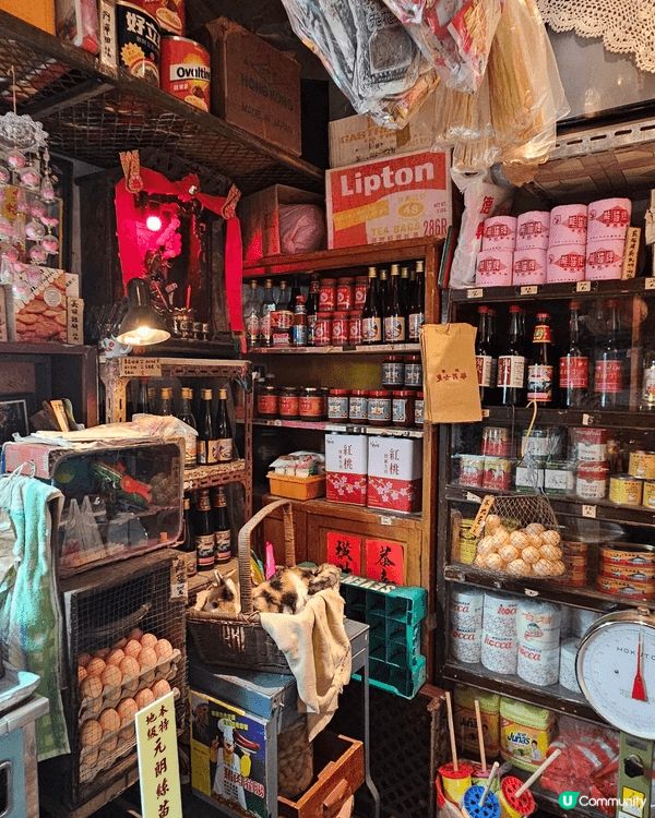 行經九龍城入咗九龍城寨嘅展覽館入面有幾間舖頭都係九龍城寨電影...