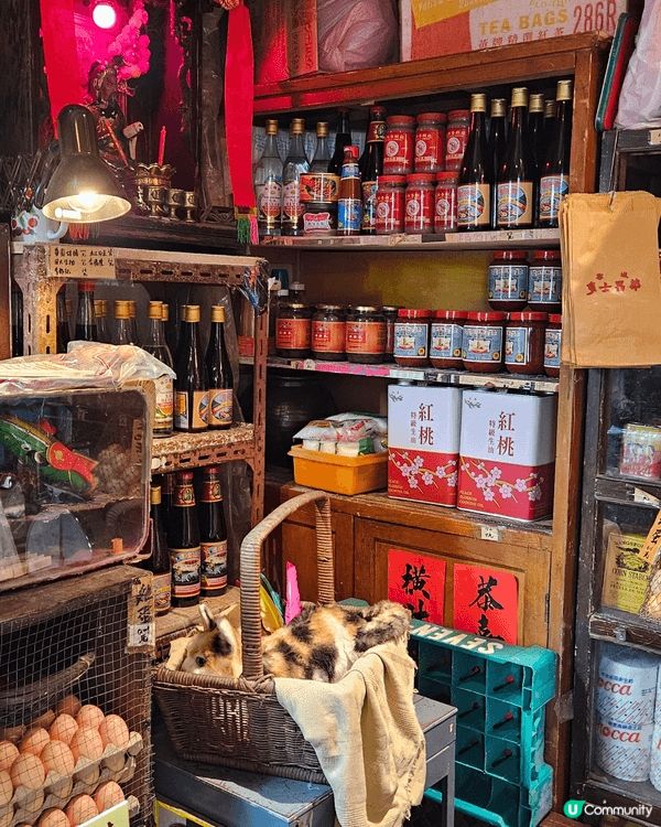 行經九龍城入咗九龍城寨嘅展覽館入面有幾間舖頭都係九龍城寨電影...