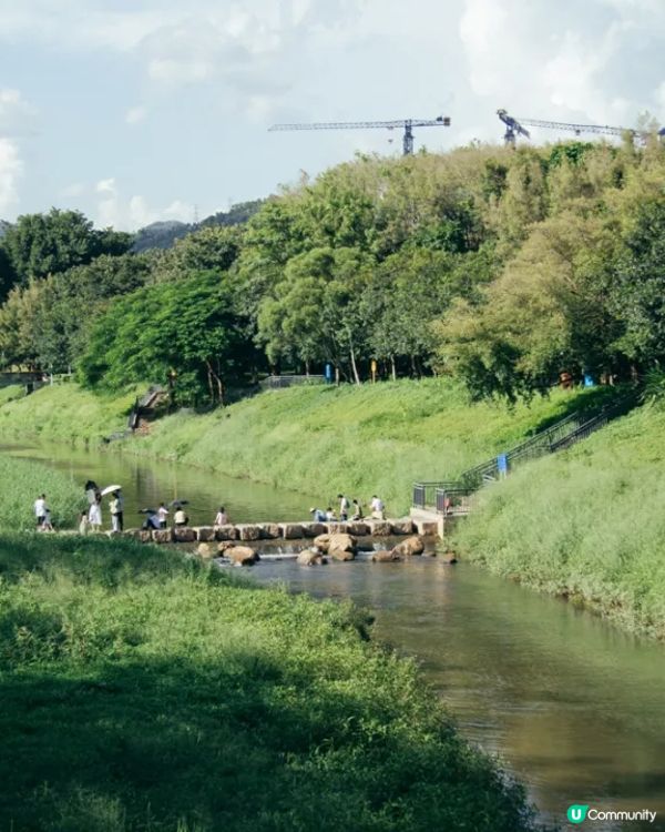 深圳華強北中心公園周末必去🍃宮崎駿「網紅橋」小紅書爆紅必打卡✨